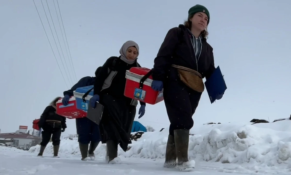 Kadın Veterinerler zorlu kış şartlarına rağmen g&ouml;rev başındalar