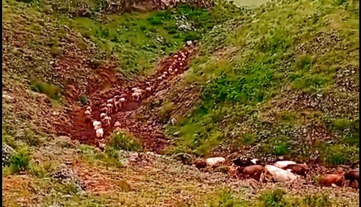 Karahan’da 15 Kilometrelik Mera Yolu 2 Kilometreye Düştü