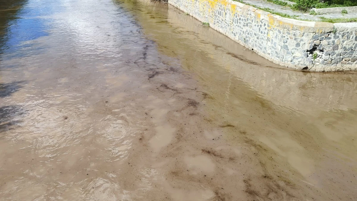 Kars Çayı’na akaryakıt karıştı; Doğal yaşam kayboldu