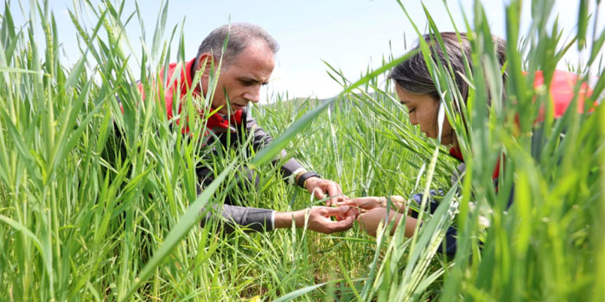 Kars İl M&uuml;d&uuml;r&uuml; Enver Aydın Ekili Alanları İnceledi