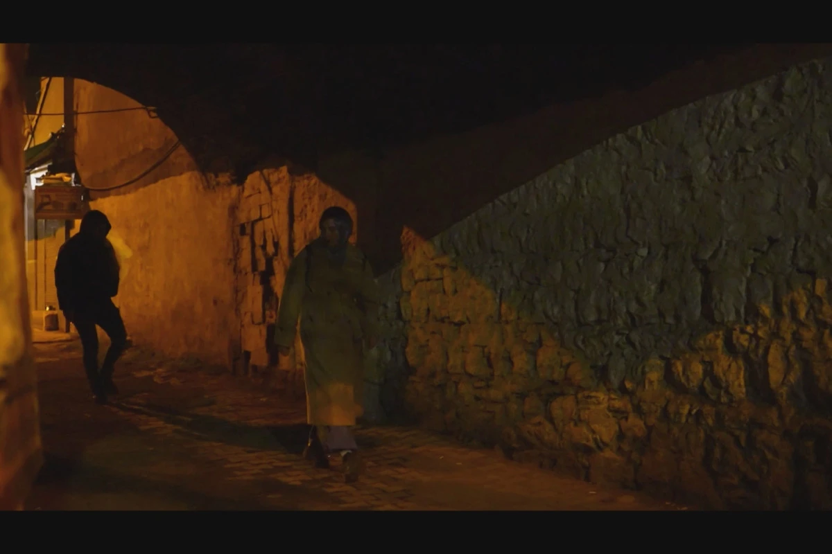 Kars polisinden kadına yönelik şiddetle mücadelede KADES vurgusu yapıldı