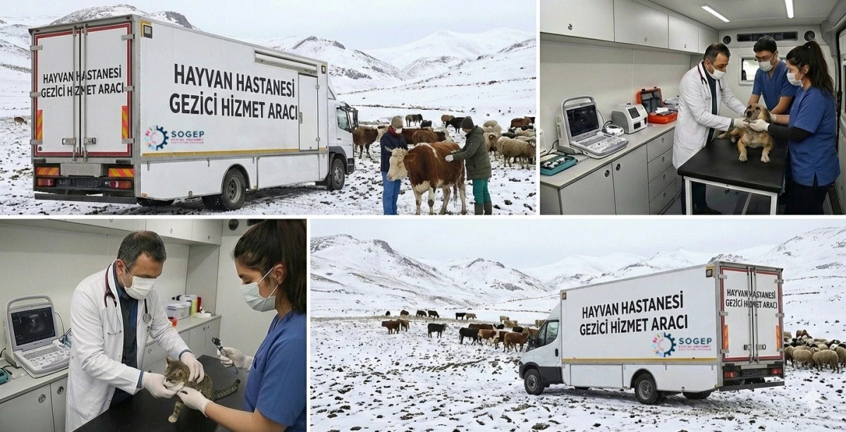 Kars&rsquo;ta gezici hayvan sağlığı hizmetleri projesi hayata ge&ccedil;iriliyor