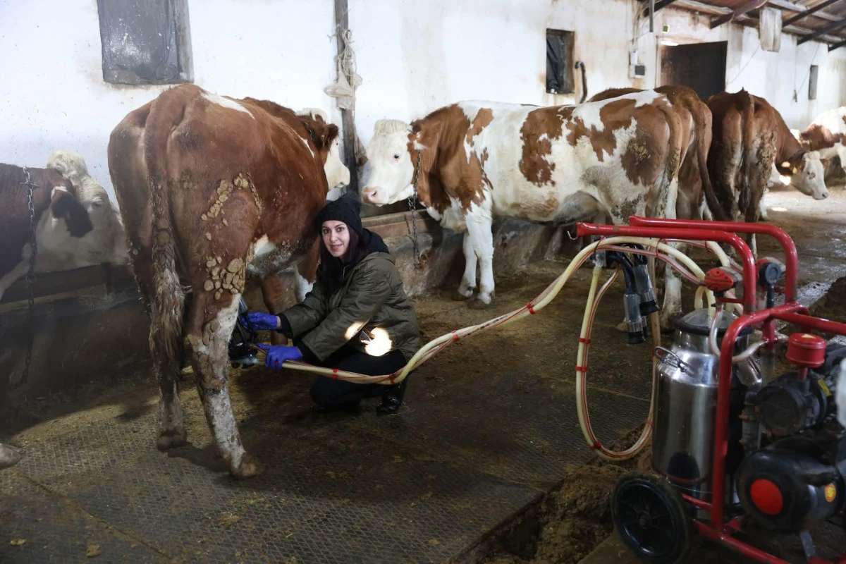 Kars'ta kadın &uuml;retici sayısı artıyor