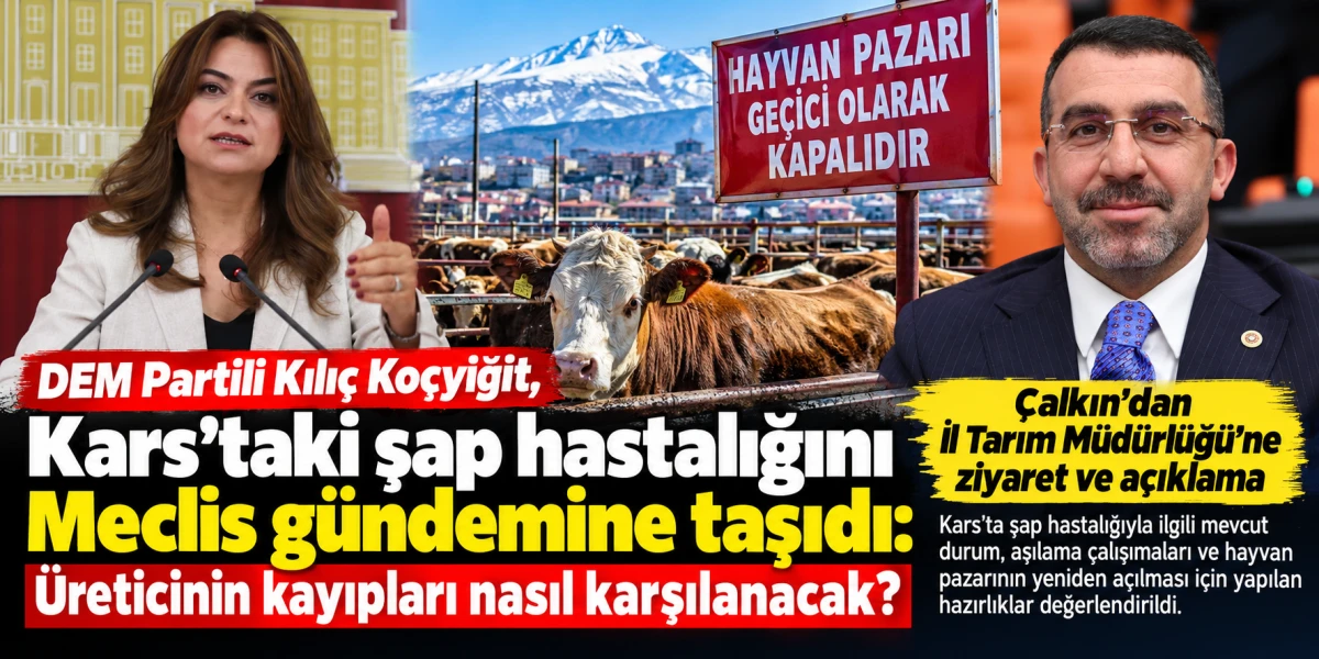 Kars&rsquo;ta Şap Hastalığı G&uuml;ndemi: &Ccedil;alkın&rsquo;dan A&ccedil;ıklama, Kılı&ccedil; Ko&ccedil;yiğit&rsquo;ten 13 Soruluk &Ouml;nerge