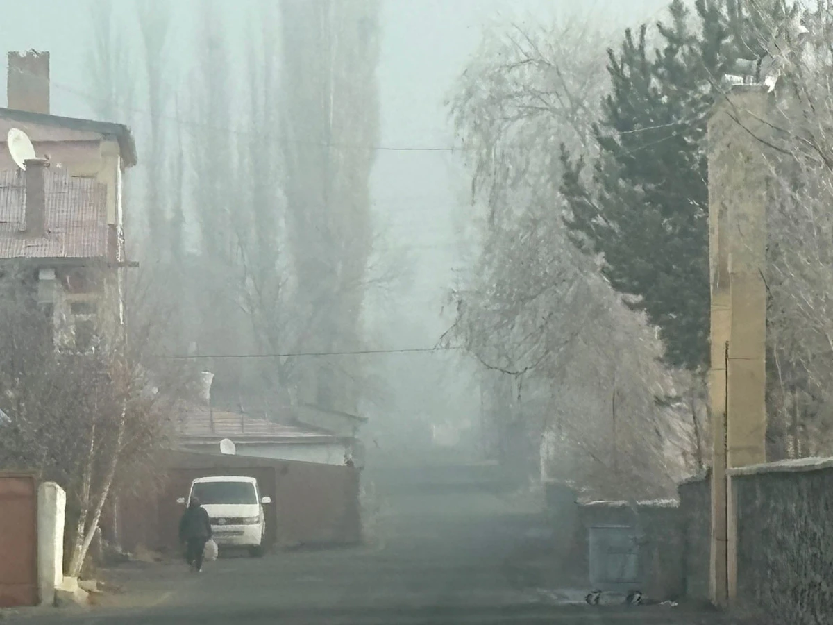 Kars’ta soğuk hava ve sis etili oluyor
