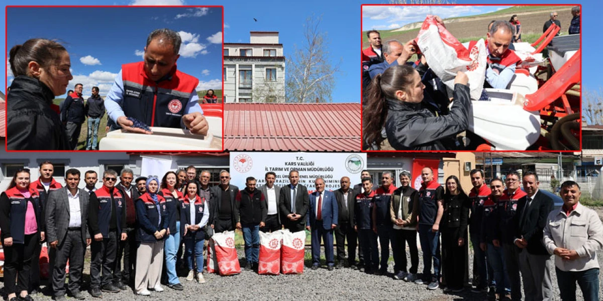 Kars’ta yağlık ayçiçeği desteği