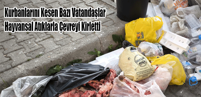 Kurbanlarını Kesen Bazı Vatandaşlar Hayvansal Atıklarla Çevreyi Kirletti