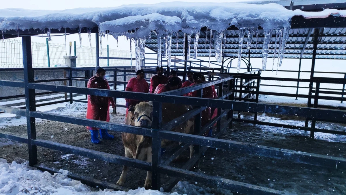 T&uuml;rkiye&rsquo;nin Hekimleri Kars&rsquo;ta Buluştu